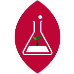 Plant Cell, Tissue, and Organ Culture