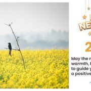 Celebrating a New Beginning: Happy New Year 2023!
