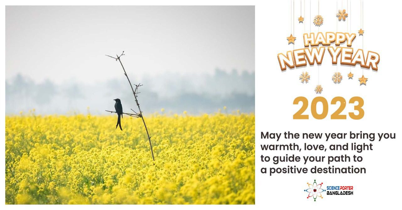 Celebrating a New Beginning: Happy New Year 2023!